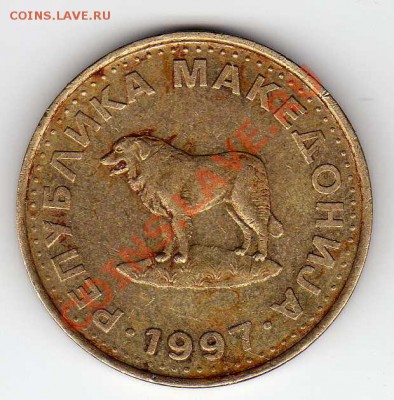 МАКЕДОНИЯ ДЕНАР 1997 СОБАКА ДО 04.10.12 В 22.00МСК (3266) - img572