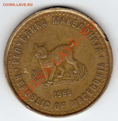 МАКЕДОНИЯ 5 ДЕНАРОВ 1995 ФАО РЫСЬ ДО 04.10-22.00МСК (3266) - img578