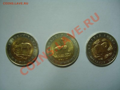 3 монеты 50 рублей, Красная книга, нет Зубра и Сапсана. - S6009037.JPG