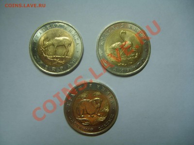 3 монеты 50 рублей, Красная книга, нет Зубра и Сапсана. - S6009038.JPG