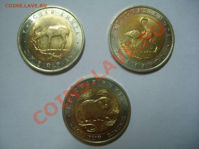 3 монеты 50 рублей, Красная книга, нет Зубра и Сапсана. - S6009040.JPG