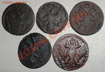 Полушки 1731-1750 гг. - 2