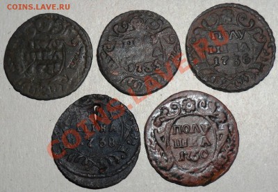 Полушки 1731-1750 гг. - 1