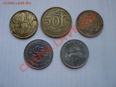 Львы.до 5.10.2012г.15:00Мск. - львы-2