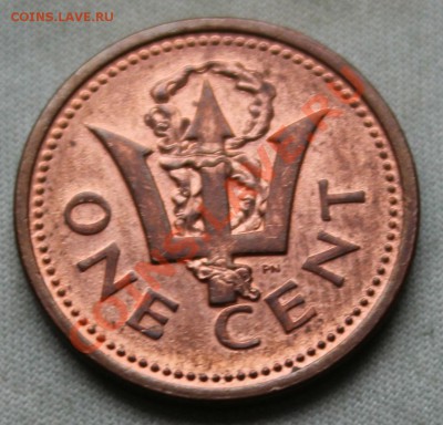 Конкурс «Veni Vedi Vici» - IMG_2250.JPG