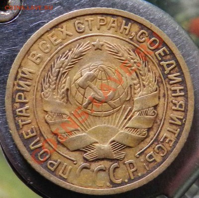 2 копейки  1926-1928-1929 + бонус  до 05.10.2012 - DSCN4462.JPG