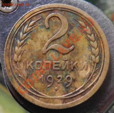 2 копейки  1926-1928-1929 + бонус  до 05.10.2012 - DSCN4461.JPG