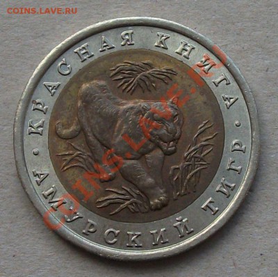 К.Р. Книга -АМУРСКИЙ ТИГР- с 200р. до 5.10.12г. в 22.00 - DSCF0337