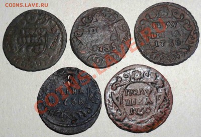 Полушки 1731-1750 гг. До 07.10.12 в 22.00 мск - 5 полушек