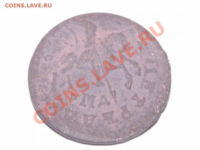 1 копейка 1711 года предпродажная оценка. - PICT0086.JPG