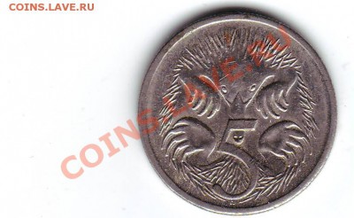 Австралия 5 центов 2001 ехидна до 22-00 07.10 - Австралия 5-1.JPG