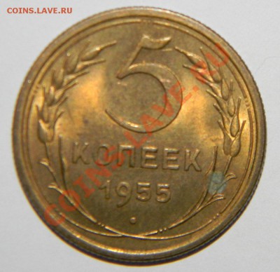 5 копеек 1955 года------------ Штемпельная до 8.10 в 22:05 - 111 5499