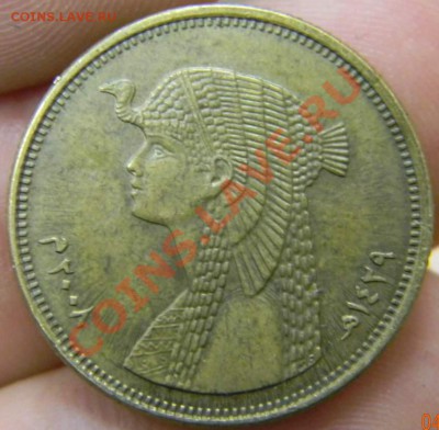 50 пиастров Египет - DSCN2645_thumb