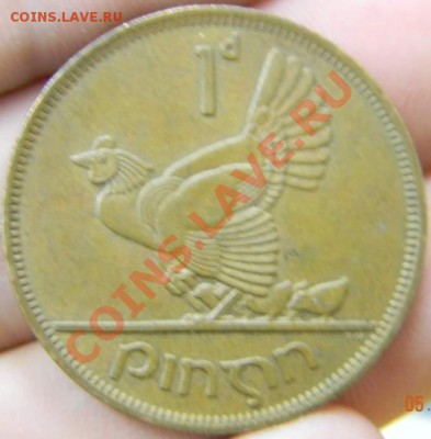 пенни Ирландия курочка 1968г. - DSCN2661_thumb