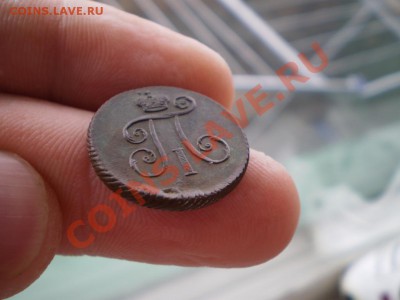 короткий Деньга 1798 П1 КМ до 7.10  23.00 МСК в коллекцию. - P8200462.JPG
