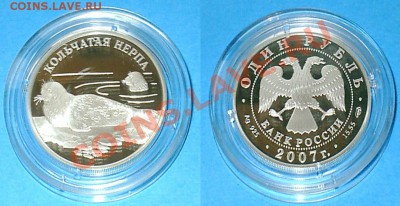 Кольчатая нерпа, Красная книга, 1 рубль, 2007 год, Ag 15.55 - 2012-10-05_1
