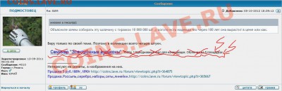 БИМ - к.JPG