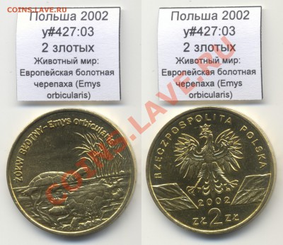 ЦВЕТНАЯ Палау 1$ 2008 Черепаха Бисса до 05.10 - Poland_y427_03_2002_2zl