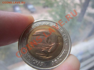 Красная книга. Черноморская афалина до 10.10 22.10 - IMG_3412