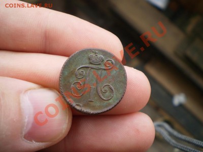 короткий Деньга 1798 П1 КМ до 7.10  23.00 МСК в коллекцию. - P8210468.JPG