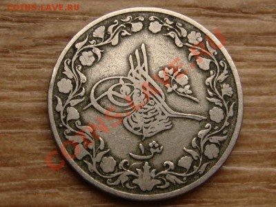 Египет гирш км 306 или 299, или еще что??? - IMG_4553