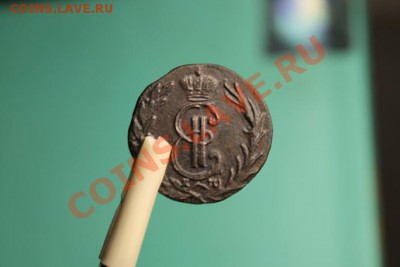 Денга Сибирская; 1771г.км. 10.10.12г. 22:00ч, вр. МОСК. - 2012_10_06_02607.JPG