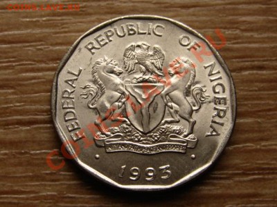 Нигерия 50 кобо 1993 до 09.10.12 в 21.00 М - IMG_4323