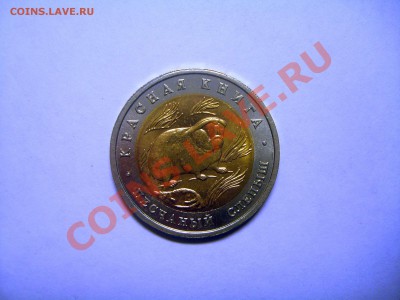 Красная книга. 1994 год. Песчаный слепыш. - S6009080.JPG