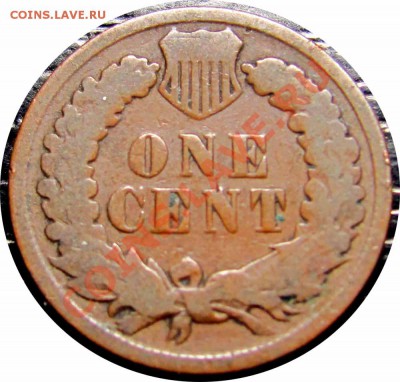 T46 США 1¢ 1896 Indian Head Cent до 12.10 в 22°° - T46 1c 1896_2