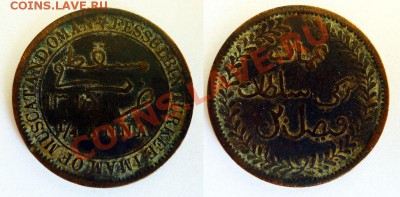 4 Анна - muscat