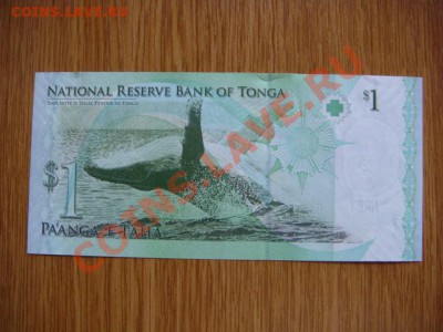 -v- Бона Тонга 1паанга 2008 до 11.10(22.00) - DSC08676.JPG