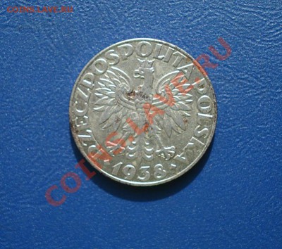 Польша 50 грошей 1938 до 11.10.12 в 22.00 по МСК - 51