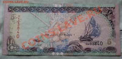 МАЛЬДИВЫ 5 руфий РЫБАЦКИЕ ЛОДКИ до 13.10.2012г.в 22-00 - IMG_2571.JPG