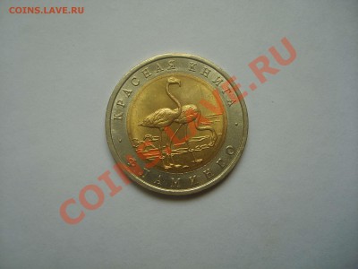 Красная книга. 1994 год. Фламинго. - S6009090.JPG