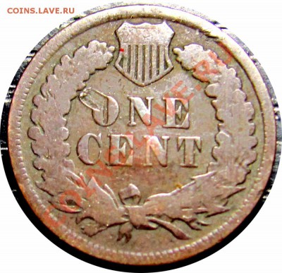 T54 США 1¢ 1901 Indian Head Cent до 14.10 в 22°° - T54 1C 1901_2