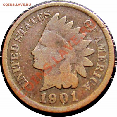 T54 США 1¢ 1901 Indian Head Cent до 14.10 в 22°° - T54 1C 1901_1