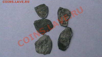 Чешуя - 5 шт. Иван и Василий. Слабая до 15.10.12 поМСК 22-00 - IMGA0906.JPG