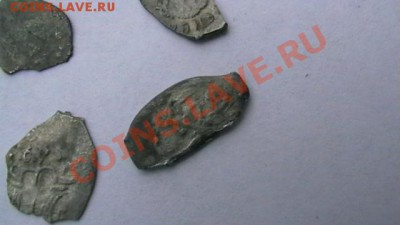 Чешуя - 5 шт. Иван и Василий. Слабая до 15.10.12 поМСК 22-00 - IMGA0909.JPG