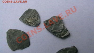 Чешуя - 5 шт. Иван и Василий. Слабая до 15.10.12 поМСК 22-00 - IMGA0911.JPG