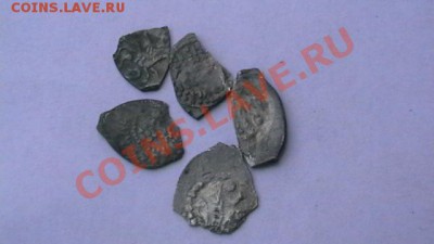 Чешуя - 5 шт. Иван и Василий. Слабая до 15.10.12 поМСК 22-00 - IMGA0912.JPG