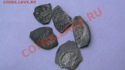 Чешуя - 5 шт. Иван и Василий. Слабая до 15.10.12 поМСК 22-00 - IMGA0914.JPG
