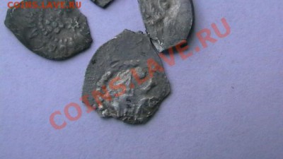 Чешуя - 5 шт. Иван и Василий. Слабая до 15.10.12 поМСК 22-00 - IMGA0915.JPG