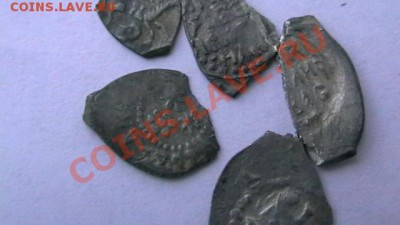 Чешуя - 5 шт. Иван и Василий. Слабая до 15.10.12 поМСК 22-00 - IMGA0916.JPG