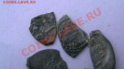 Чешуя - 5 шт. Иван и Василий. Слабая до 15.10.12 поМСК 22-00 - IMGA0917.JPG