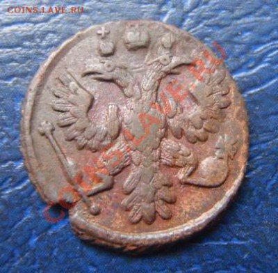 Полушки 1730-1754 годов. Галерея - P8082201.JPG