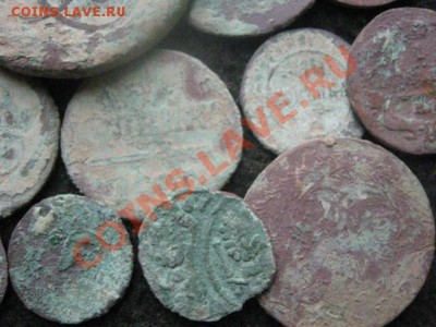 ! Свежие какалики, 18 шт. На опыты! До 14.10.2012г. - сб, вс, пн 025.JPG
