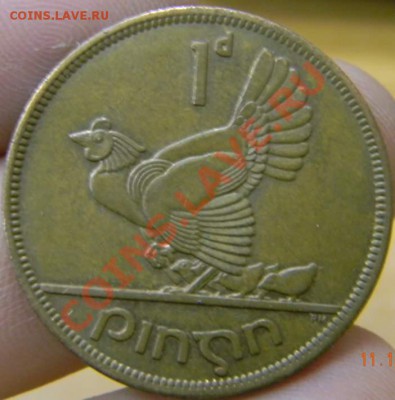 пенни Ирландия курочка 1965г. - DSCN2790_thumb