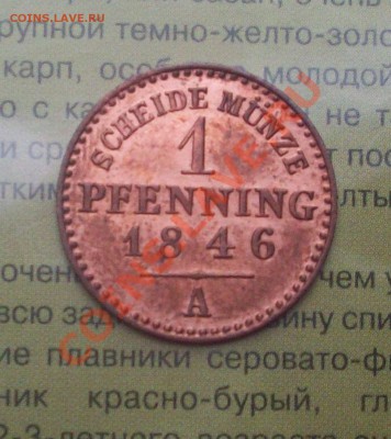 Пфенниг 1846 г Оценка - _var_www_s1_temp_12_284_13_CGvIad6OPDrT20Dvji