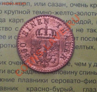 Пфенниг 1846 г Оценка - _var_www_s1_temp_12_284_13_GsPNxEjlQ8HKYc0L
