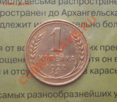 1 копека 1927 г - _var_www_s1_temp_12_284_16_nGMU7WF8TbYGP1BkXn